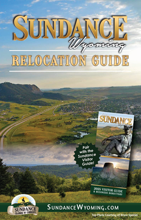 RelocationCoverWeb